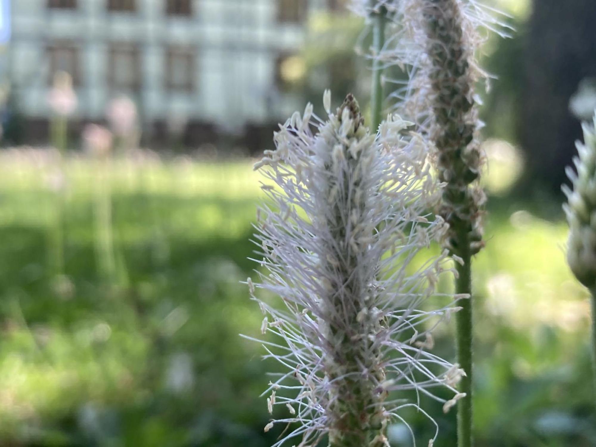 Poppenhaeuser Muehle Hofgeismar Buitenkant foto